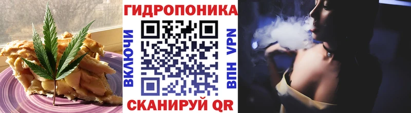 kraken вход  Макаров  Еда ТГК марихуана 