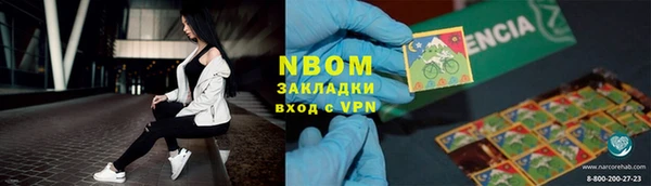 шишки Аркадак
