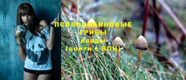 шишки Аркадак
