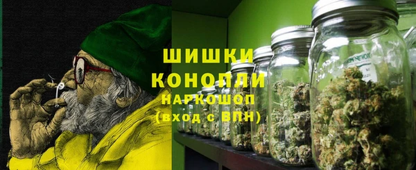 шишки Аркадак
