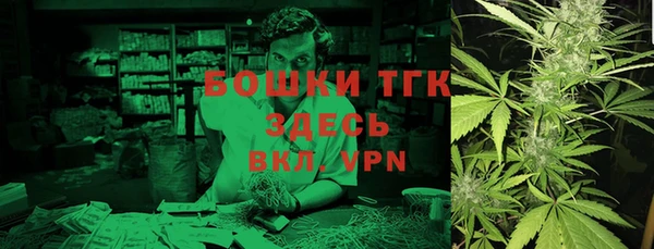 шишки Аркадак