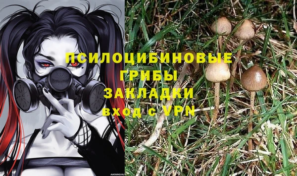 МДМА Арсеньев