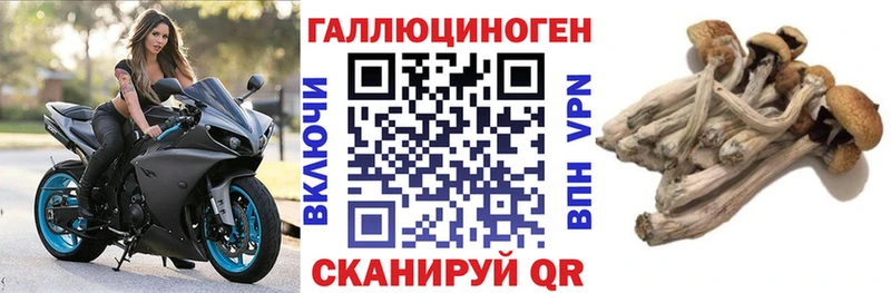 Псилоцибиновые грибы ЛСД Макаров