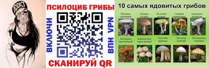 Галлюциногенные грибы Psilocybine cubensis  Макаров 